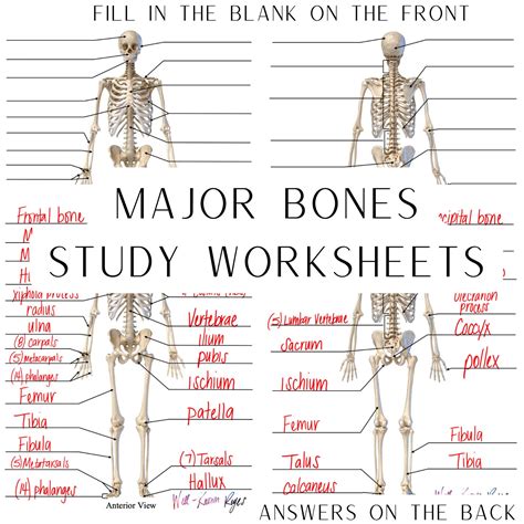 The Science of Bones