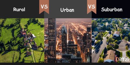 Suburban Life vs City Living