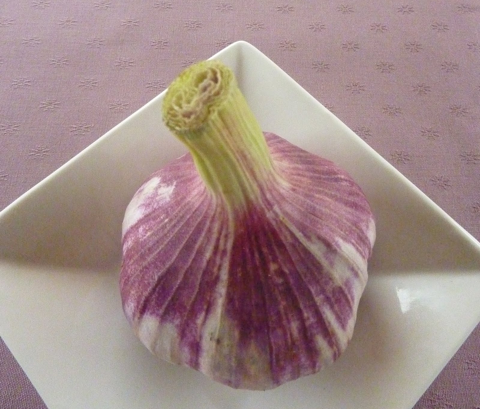 Sudden Lunch Suzy Bowler How To Roast Garlic Plus 25 Delicious