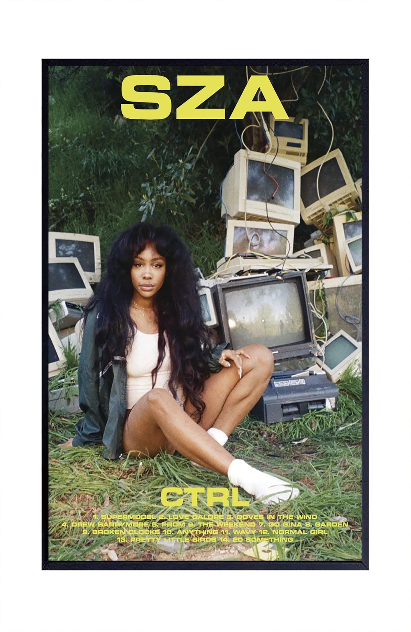 Unveiling the Secrets of SZA's CTRL Album Cover