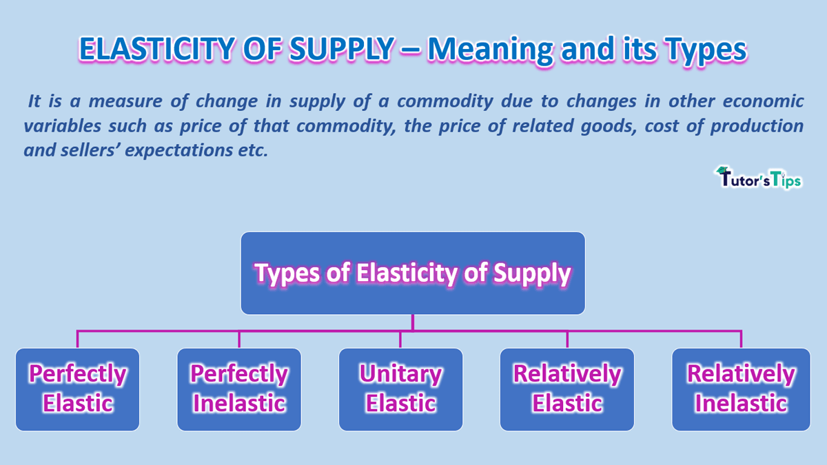 The Elasticity Of Supply Meaning Types And Methods Tutor S Tips The Elasticity Of Supply Meaning Types And Methods Tutor S Tips