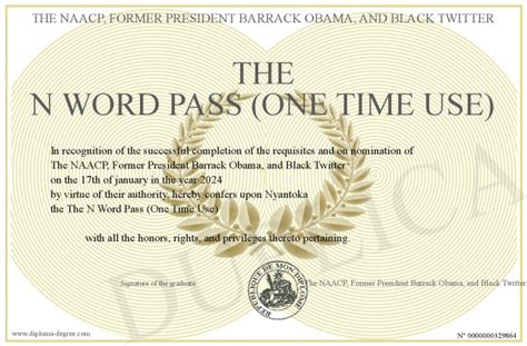 The N Word Pass One Time Use The N Word Pass One Time Use