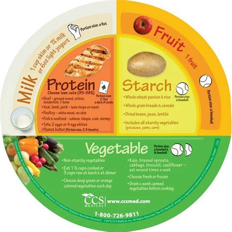 The Recommended Portion Sizes For The Mediterranean Diet Primerplato