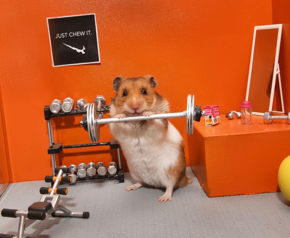 Tiktok Erin Nice Dresses Green Eyes Gym Rat Tiktok Erin Nice Dresses Green Eyes Gym Rat