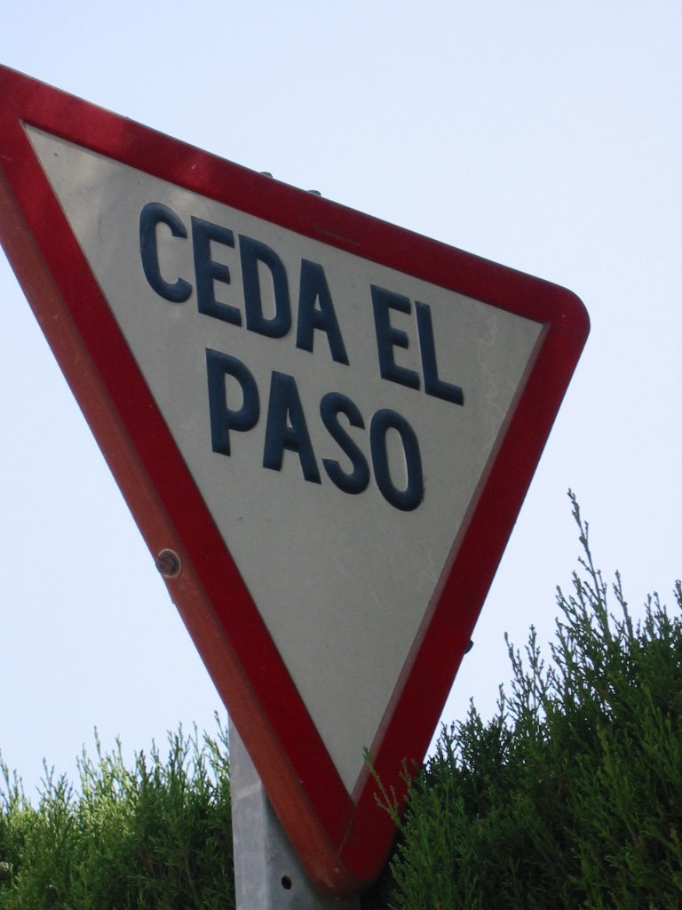 The Art of Giving: Spanish Insights