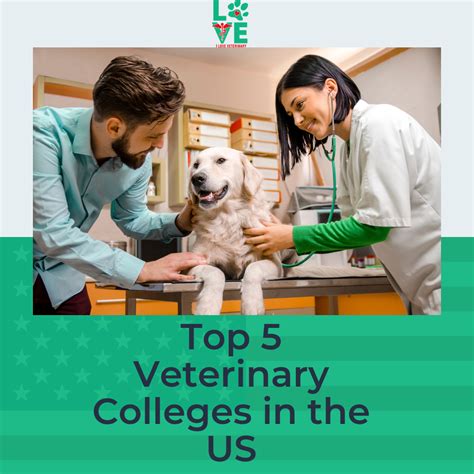 Unveiling the 10 Best Vet Schools