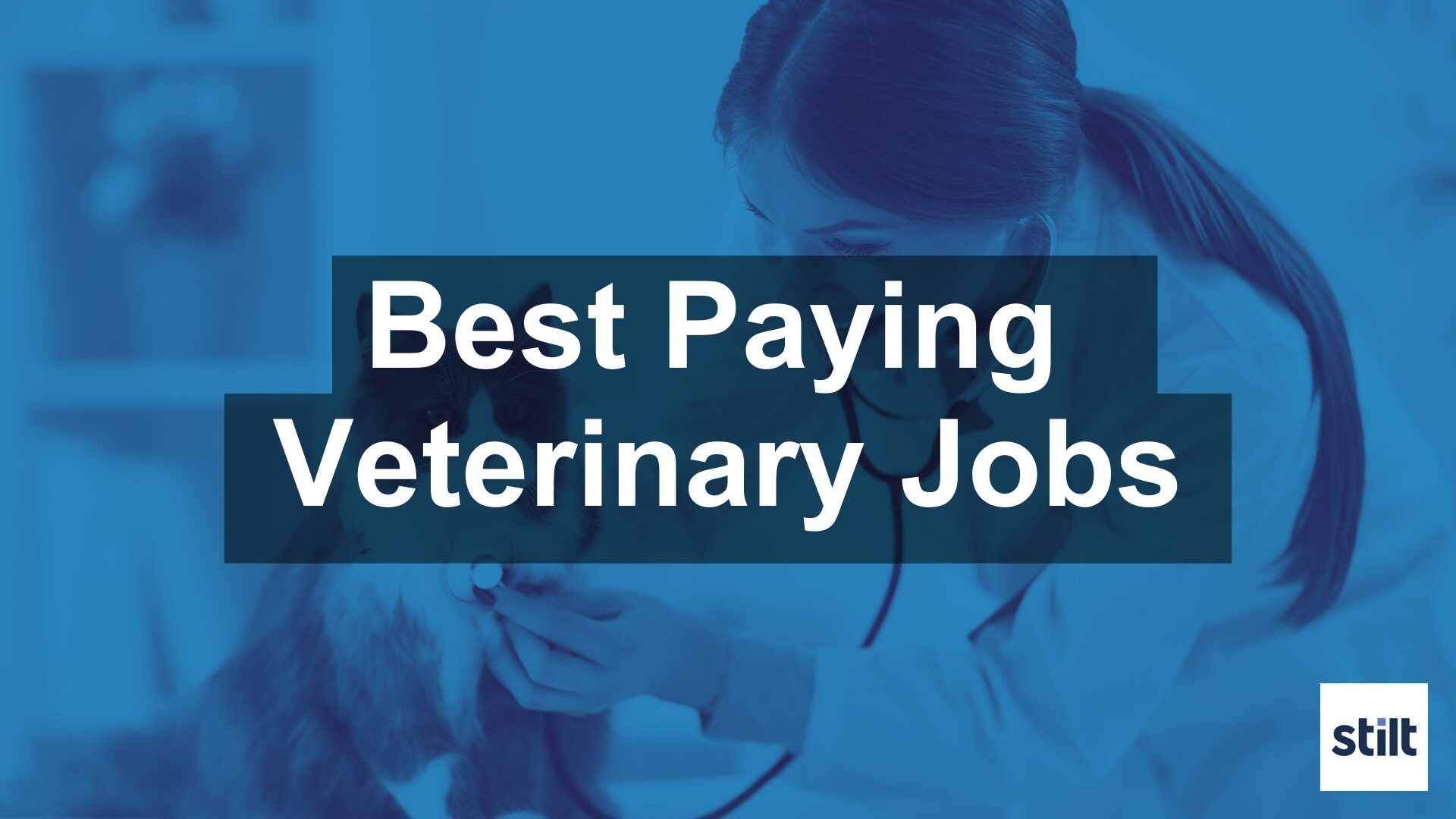 Top-Earning Veterinary Roles: 8 Insights.