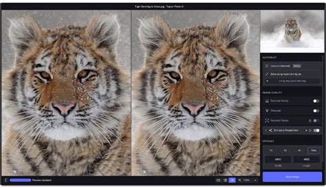 Topaz Video Ai For Windows Download Downloadgast Topaz Video Ai For Windows Download Downloadgast