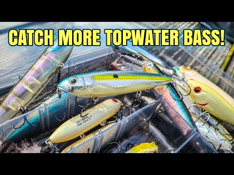 Topwater Walking Bait Guide Bass Fishing Tips Bass Manager The Topwater Walking Bait Guide Bass Fishing Tips Bass Manager The