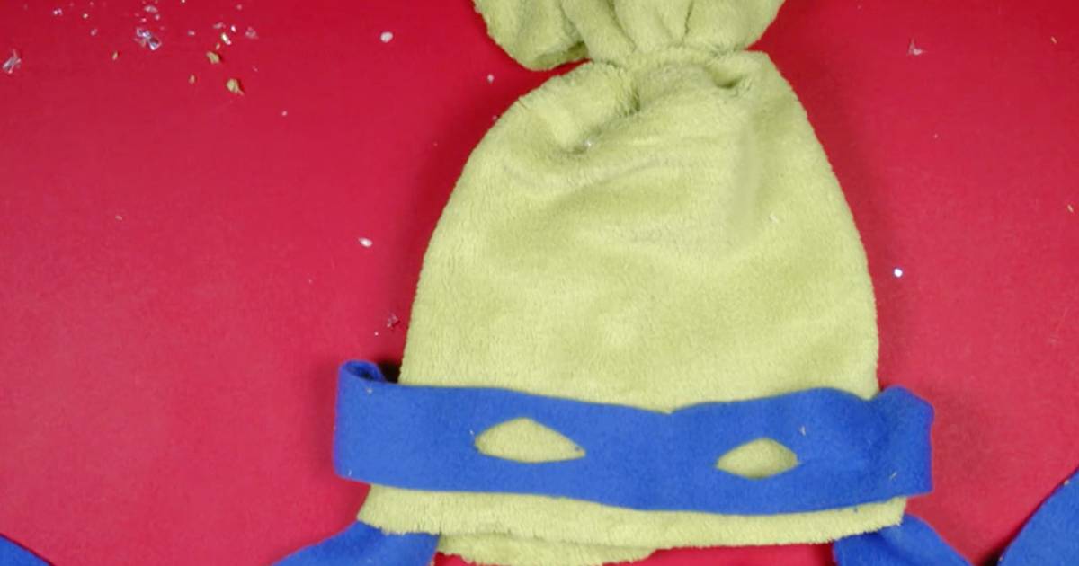 5 Amazing Turtle Winter Adaptations