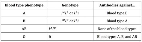 Unveiling the Secrets of Type O Blood