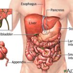 Understanding Gastroesophageal Reflux Disease Gerd Through Icd 10 Codes Understanding Gastroesophageal Reflux Disease Gerd Through Icd 10 Codes