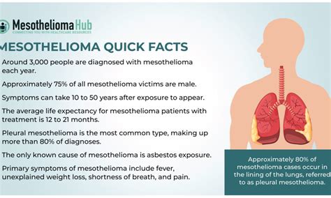 Understanding Mesothelioma Cancer Understanding Mesothelioma Cancer