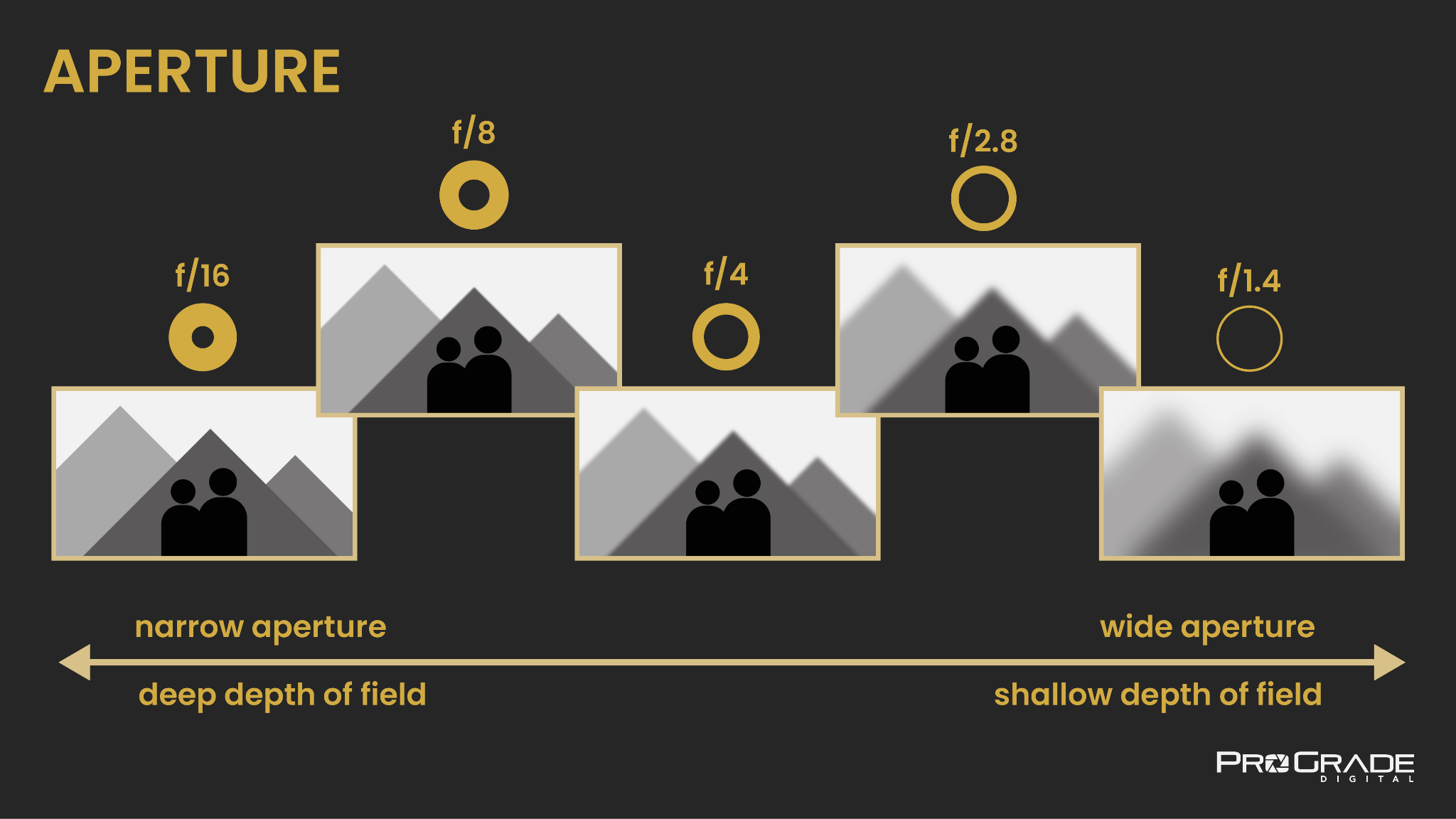 Understanding The Exposure Triangle Prograde Digital Understanding The Exposure Triangle Prograde Digital