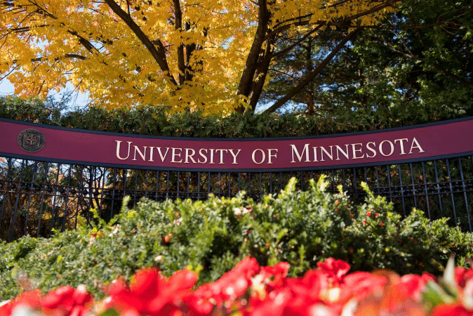 Study Abroad: UMN's Global Adventure