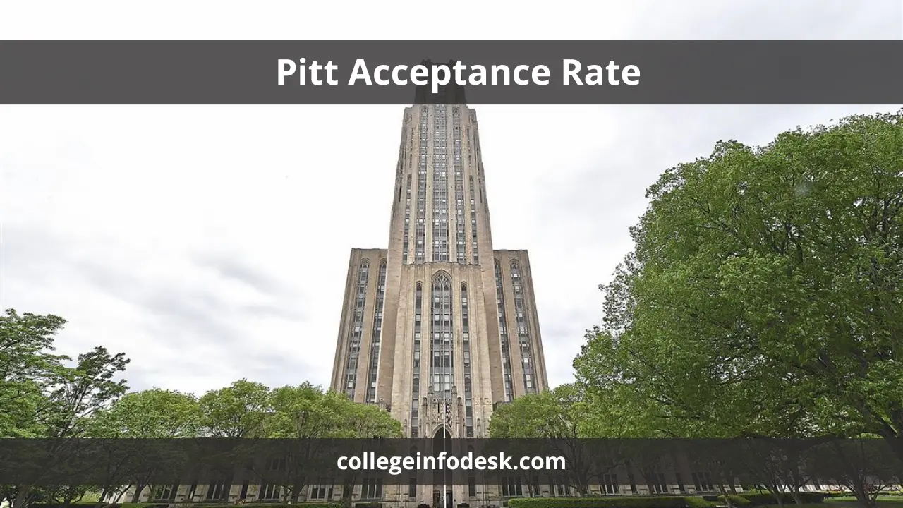 Pitt's Acceptance Insights: A Comprehensive Guide