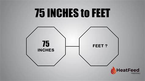 Unraveling The Mystery 96 Inches In Feet Osmo Digital Hub Unraveling The Mystery 96 Inches In Feet Osmo Digital Hub