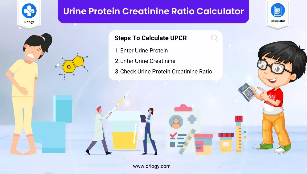 Urine Protein To Creatinine Ratio Purpose Procedure Results And More Urine Protein To Creatinine Ratio Purpose Procedure Results And More
