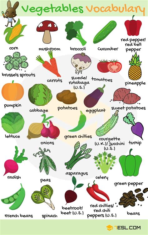 A Complete Guide to S Vegetables
