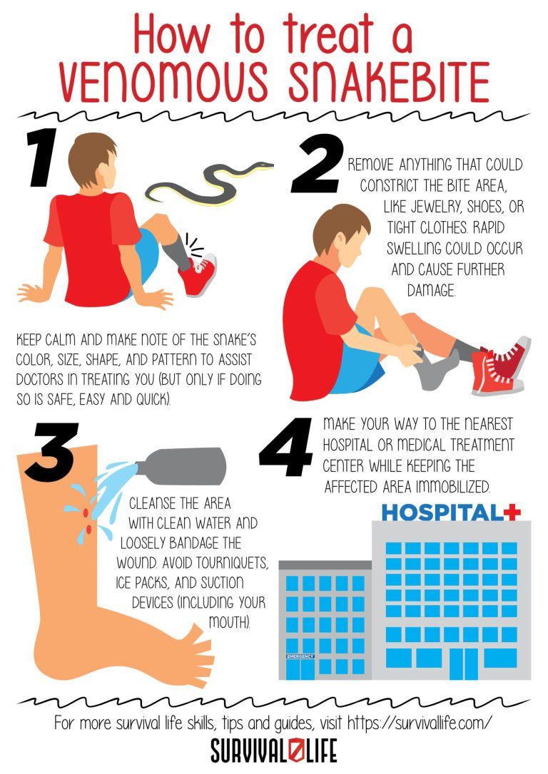 Venomous Snakes Spot Avoid And Survive Snake Encounters Farming Tips Venomous Snakes Spot Avoid And Survive Snake Encounters Farming Tips