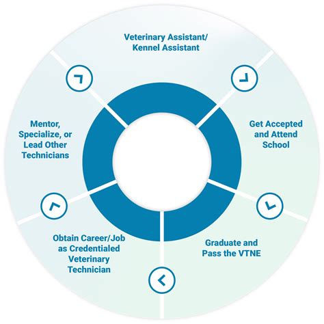 Vet Tech: Unlocking Your Career Path