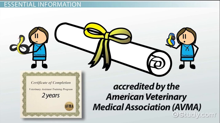 A Guide: State Vet Tech Requirements