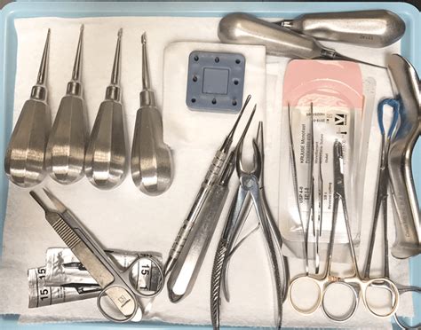 5 Key Tips for Veterinary Dental Tech Design