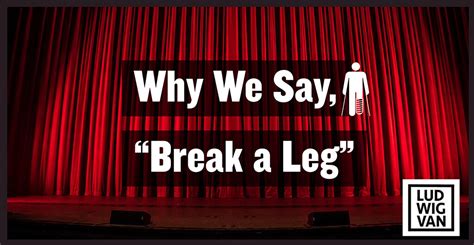 We Say That Leg We Say That Leg