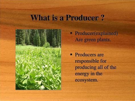5 Key Roles of Producers