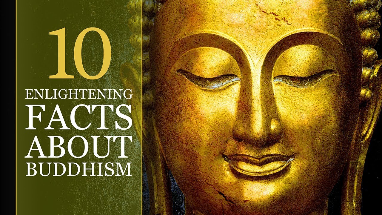 What Are The Basic Beliefs Of Buddhism Youtube What Are The Basic Beliefs Of Buddhism Youtube
