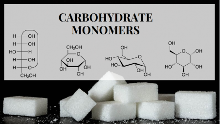 Monomers of Carbohydrates: 3 Essentials