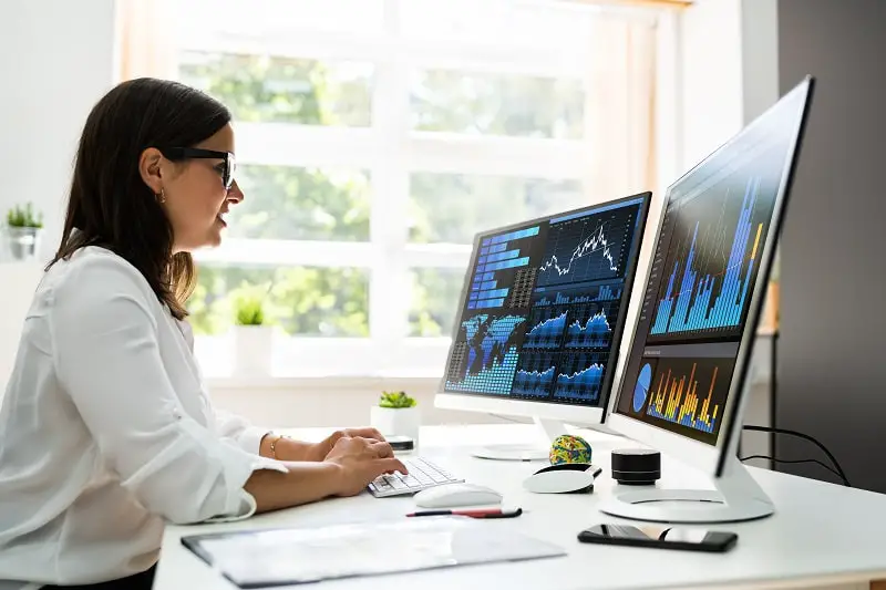 The Data Detective's Daily Duties