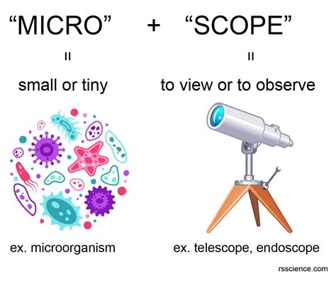 What Is A Microscope Function And Magnification Rs Science What Is A Microscope Function And Magnification Rs Science