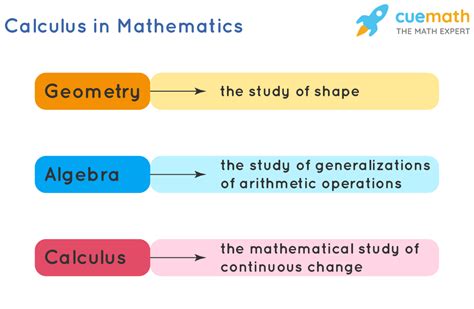 The Essential Guide to Understanding Calculus