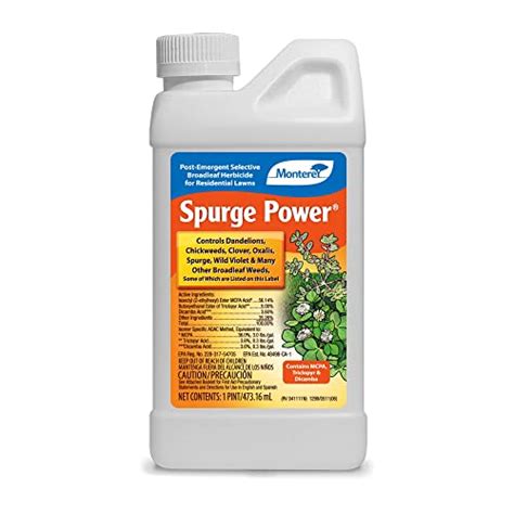 What Is The Best Herbicide For Creeping Charlie That Won T Harm Grass What Is The Best Herbicide For Creeping Charlie That Won T Harm Grass