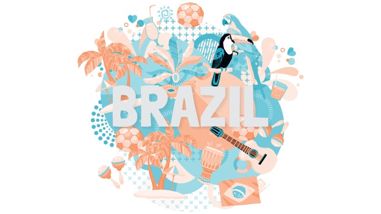 Unveiling Brazil's Official Language