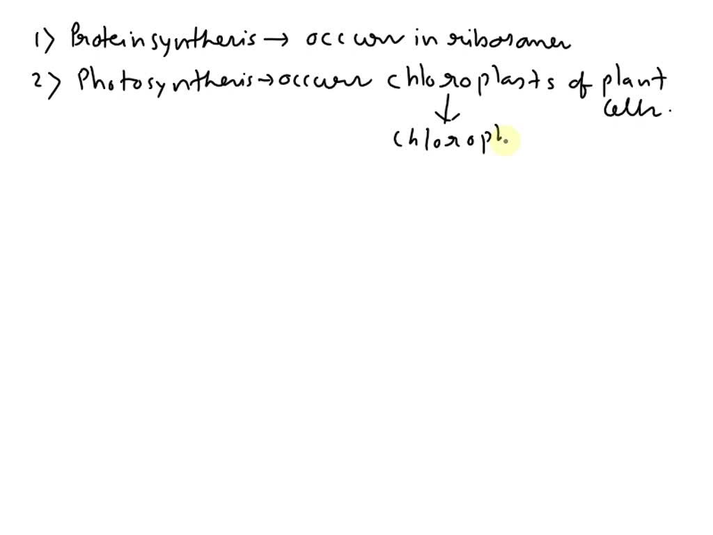 4 Ways Cellular Respiration Happens