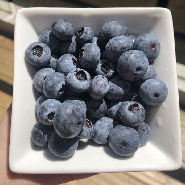 The Perfect pH for Blueberries The Perfect pH for Blueberries