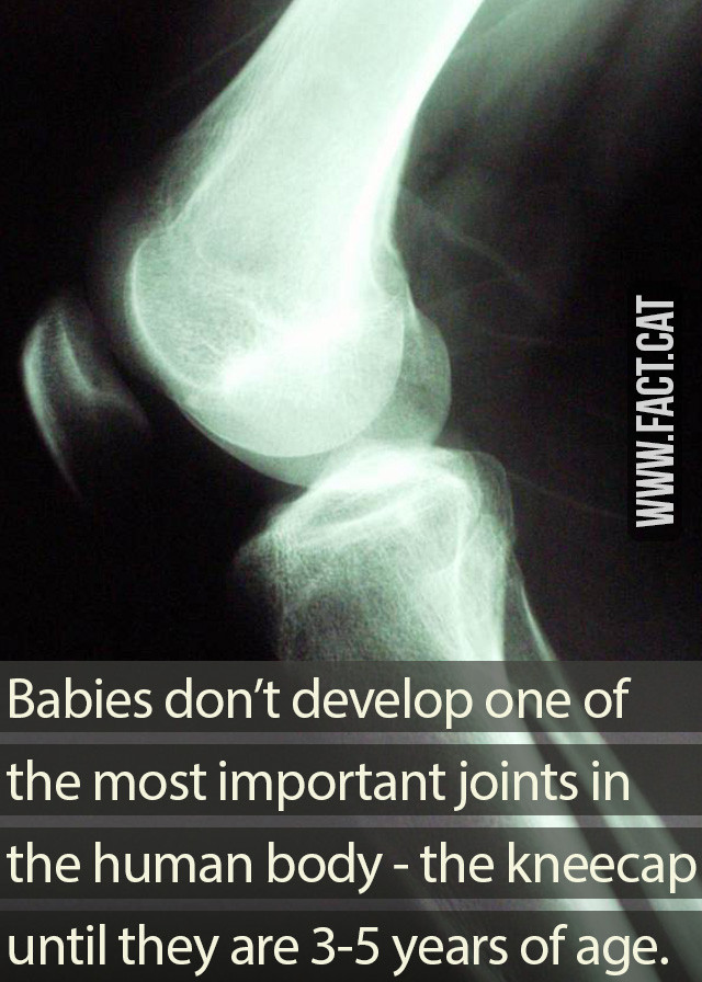 5 Tips: Baby Kneecap Development