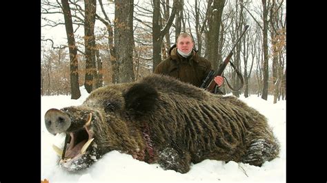 Wild Boar Hunting Adventure in AZ