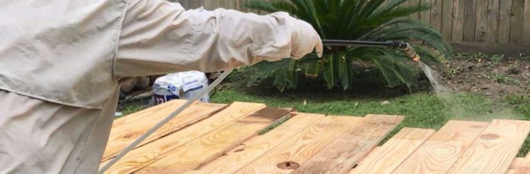 Effective Strategies to Tackle Wood-Boring Beetles