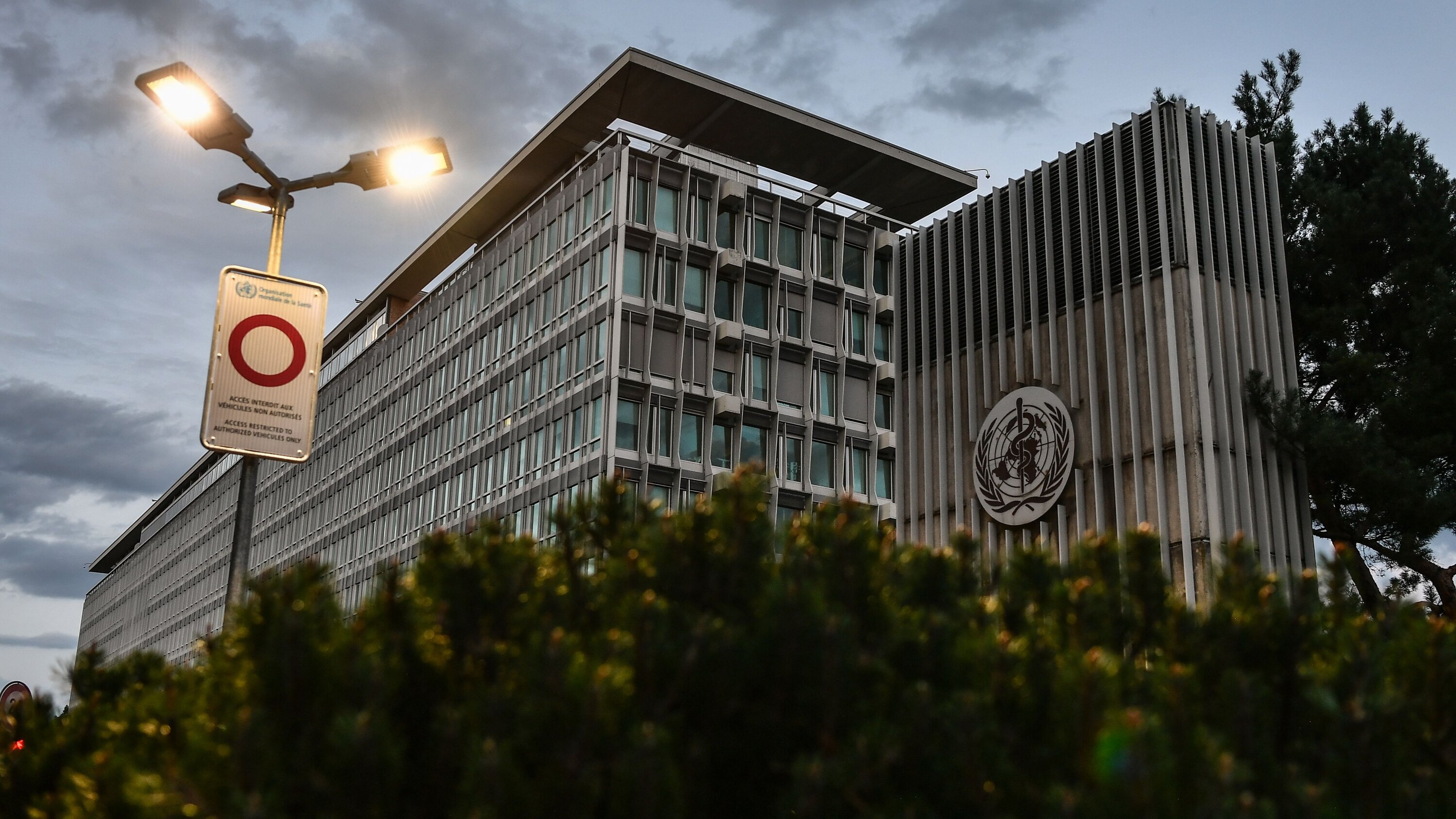 Trump's Impact on the World Health Organization