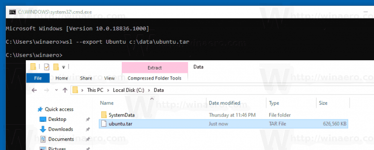 Unraveling WSL's Export Command Mystery