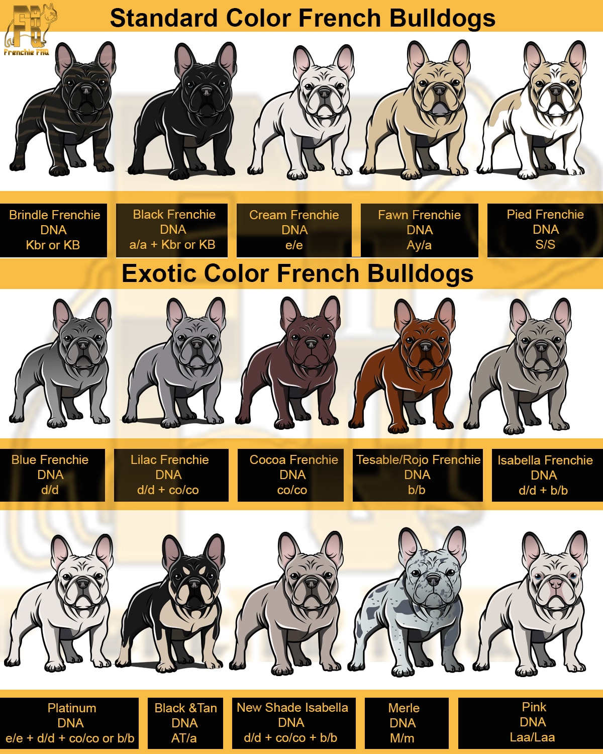 How to Say You in French: A Guide How to Say You in French: A Guide